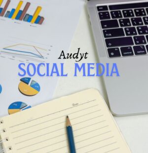 audyt social media