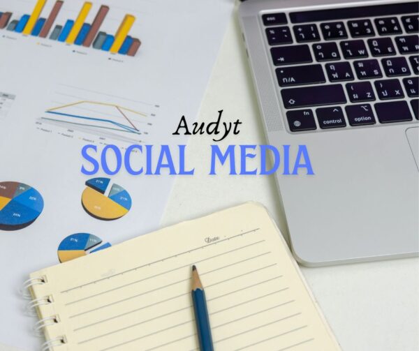 audyt social media